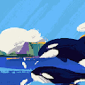 Meet your Posher, Donovan